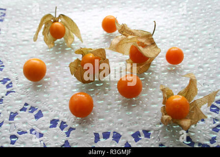 Physalis Foto Stock