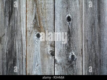 legno Foto Stock