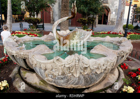 Swan fontana di fronte alla chiesa Foto Stock