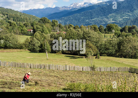 Il popolo georgiano lavorando nel campo, paesaggi bucolici, Lashtkhveri, regione di Svaneti, Caucaso, Georgia Foto Stock