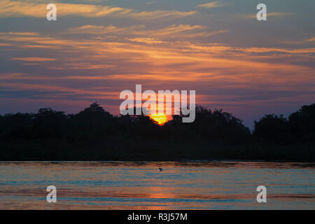 Alba sul fiume Cuiaba, Pantanal, Mato Grosso Membro, Brasile Foto Stock
