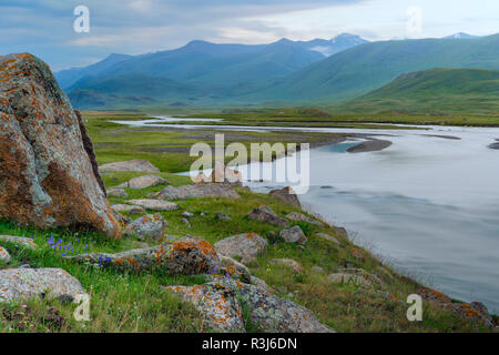 Rocce e licheni al fiume Naryn, Naryn gorge, regione di Naryn, Kirghizistan Foto Stock