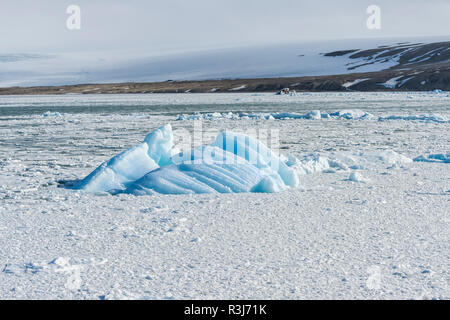 Palanderbukta, Icecap e pack ghiaccio, Gustav Adolf Terra, Nordaustlandet, arcipelago delle Svalbard, Norvegia Foto Stock