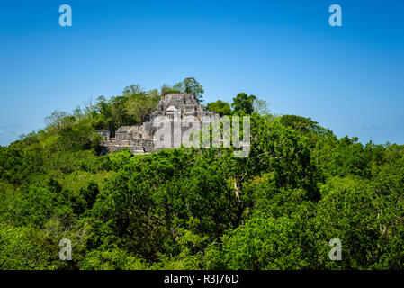 Rovine, città antica città maya di Calakmul, sito di scavo, Calakmul Riserva della Biosfera, Campeche, Messico Foto Stock