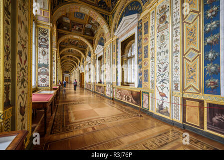 Interno, le Logge di Raffaello al Museo Hermitage, San Pietroburgo, Russia Foto Stock