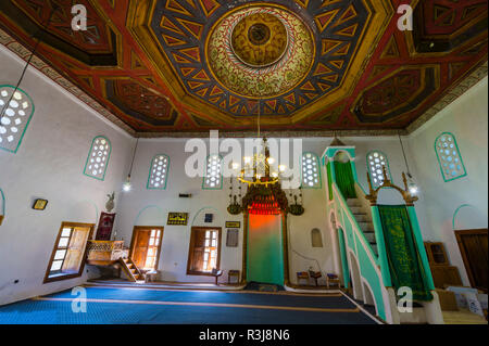 Re della moschea, Xhamia Mbret, sala da preghiera, scolpito in legno sul soffitto, Berat, Albania Foto Stock