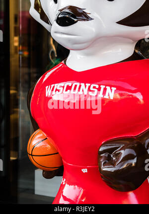 MADISON, Wisconsin - Maggio 07, 2018: un primo piano di una scultura di università di Wisconsin mascotte Bucky Badger, intitolato 'Grateful Red' dall'artista FAST Cor Foto Stock