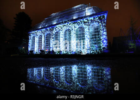 È sotto embargo a 1600 Venerdì 23 Novembre la temperata la Casa delle Palme presso il Royal Botanic Garden Edinburgh è illuminato come parte di una serie di spettacolari installazioni di Natale con oltre un milione di luci. A un miglio di trail tesse attraverso la botanica, utilizzando il giardino del paesaggio naturale ed edifici storici come sfondo di impressionanti effetti visivi. Foto Stock