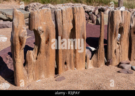 Erosi pennelli in legno sulla spiaggia a Youghal, County Cork, Irlanda Foto Stock