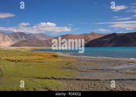 Pangong Lake, Jammu e Kashmir in India. Pangong Tso o pascoli alto lago si estende dall'India alla Cina. Foto Stock