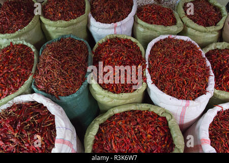 La vendita di peperoni rossi al mercato, Pakokku, Magway Regione, Myanmar Foto Stock