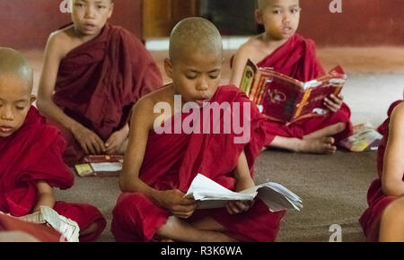 Il debuttante monaci studiano scritture buddhiste, Bagan, Mandalay, Regione, Myanmar Foto Stock