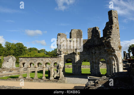 L'Irlanda, nella contea di Louth, Mellifont Abbey Foto Stock