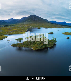 Vista aerea della Pineta isola nel Lago Derryclare Foto Stock