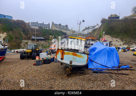 Barche da pesca ormeggiate sulla spiaggia presso il pittoresco villaggio di birra in East Devon Regno Unito Foto Stock