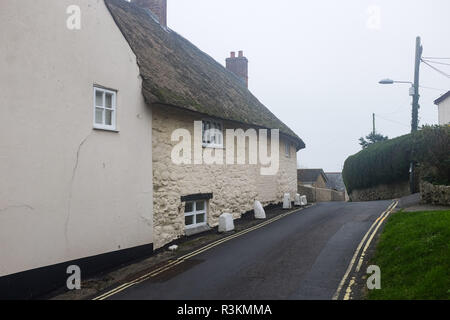 Vecchi pittoreschi cottage con il tetto di paglia in Charmouth nel West Dorset Regno Unito Foto Stock
