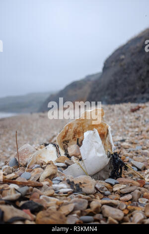 Rifiuti di plastica per lettiera e spazzatura sul famoso Jurassic Coast beach tra Charmouth e Lyme Regis in West Dorset Regno Unito Foto Stock