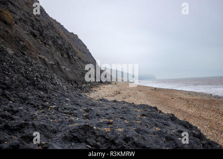 Sul famoso Jurassic Coast beach tra Charmouth e Lyme Regis in West Dorset Regno Unito Foto Stock