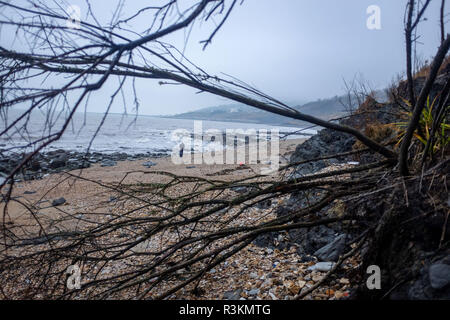 Cliff erosione sul famoso Jurassic Coast beach tra Charmouth e Lyme Regis in West Dorset Regno Unito Foto Stock