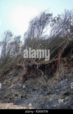 Cliff erosione sul famoso Jurassic Coast beach tra Charmouth e Lyme Regis in West Dorset Regno Unito Foto Stock