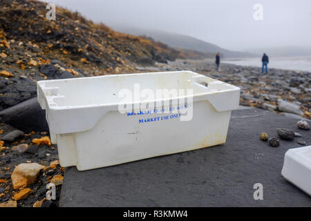 Rifiuti di plastica per lettiera e spazzatura includente un Brixham peschereccio casella sul famoso Jurassic Coast beach tra Charmouth e Lyme Regis in Occidente D Foto Stock