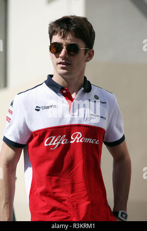 Sport Gran premio di Formula Uno di Abu Dhabi 2018 nel pic: Charles Leclerc (MON) Sauber C37 Foto Stock