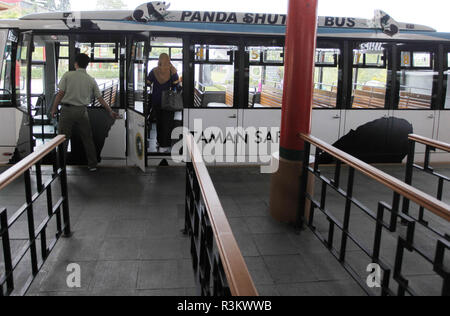 Novembre 22, 2018 - Bogor, West Java, Indonesia - turismo locale può essere visto di salire a bordo del Panda Gigante navetta all'indonesiano Panda Castello..due Panda Gigante, Cai Tao (M) e Hu Chun (F) vengono trovati e può essere visto dal pubblico all'indonesiano Panda Castello, Taman Safari Indonesia. Cai Tao (maschio) e Hu Chen (femmina) sono arrivati in Indonesia alla fine del mese di settembre 2017 da Chengdu in Cina. (Credito Immagine: © Adriana Adinandra/SOPA immagini via ZUMA filo) Foto Stock