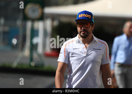 Abu Dhabi, negli Emirati Arabi Uniti. 23 novembre 2018, Yas Marina, Abu Dhabi Emirati arabi uniti; Etihad Airways Formula 1 Gran Premio di Abu Dhabi, Venerdì di prove libere; McLaren, Fernando Alonso Credit: Azione Plus immagini di sport/Alamy Live News Foto Stock