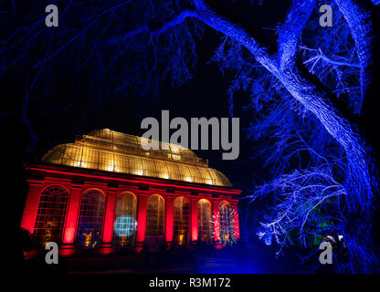 Edimburgo, Scozia, Regno Unito. 23 Novembre, 2018. Natale a la botanica si apre al Royal Botanic Garden Edinburgh. L'annuale evento notturno offre un sentiero illuminato attraverso i giardini con oltre un milione di luci. Nella foto, La Glasshouse Show. Il Palm House offre un incredibile può coloratissimo spettacolo di luci a tempo di musica progettato da Kate Bonney di Lightworks. Credito: Iain Masterton/Alamy Live News Foto Stock