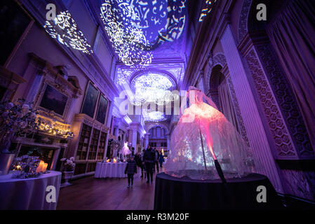 Woodstock, Oxfordshire, Regno Unito. Il 23 novembre 2018. Il Palazzo di Blenheim, Oxfordshire, Regno Unito. Un display di abbagliamento della luce per le installazioni presso il Palazzo di Blenheim e come parte delle annuali celebrazioni natalizie. Questo anno aveva una cenerentola mostra a tema all'interno del palazzo, compresi i vestiti, un carrello e una sala da ballo. Andrew Walmsley/Alamy Live News Foto Stock