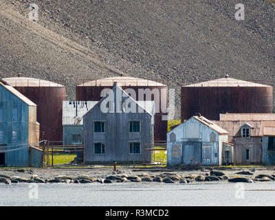 Rovine di Stromness stazione baleniera in Georgia del Sud. Foto Stock