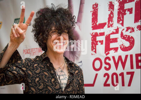 LP ( Laura Pergolizzi ) durante la vita di Oswiecim Festival 2017 in Oświęcim, Polonia il 24 giugno 2017 Foto Stock