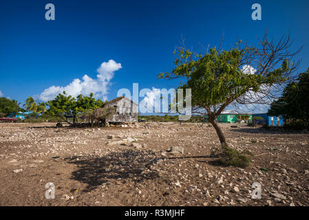 Isole Vergini Britanniche, Anegada. L'insediamento, uragano case danneggiate Foto Stock