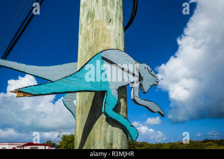 Isole Vergini Britanniche, Anegada. L'insediamento, segno per l'Iguana incubatoio Foto Stock