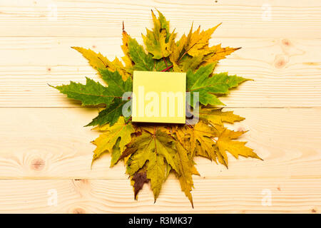 Maple Leaf essiccato sulla luce naturale sfondo di legno. Autunno caduta foglie raccolti circa nota vuota su sfondo chiaro. Caduta stagione concetto. Autunno Foto Stock