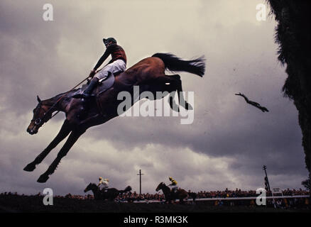 Grand National Rece incontro Eglinton Liverpool England Regno Unito 1986 cavalli salto oltre i Becher's Brook recinto dove molti cavalli è sceso. Foto Stock