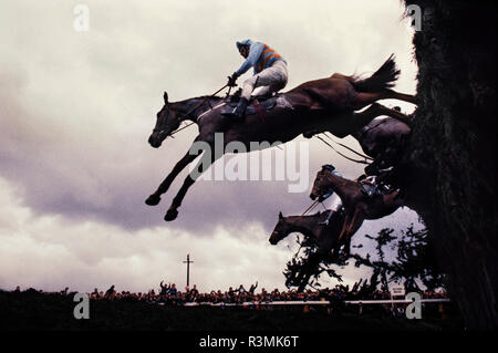 Grand National Rece incontro Eglinton Liverpool England Regno Unito 1986 cavalli salto oltre i Becher's Brook recinto dove molti cavalli è sceso. Foto Stock