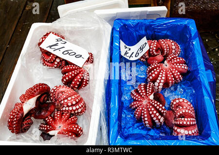 Tokyo, Giappone. Octopus per la vendita al mercato del pesce Tsukiji Foto Stock