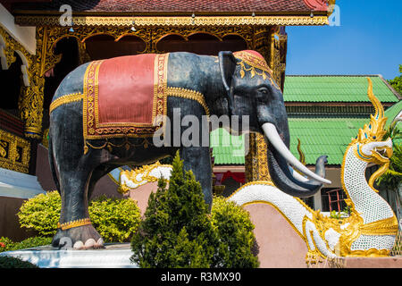 Chiang Mai, Thailandia. Statue di royal elefanti e naga serpenti guardia dell'ingresso del Wat Chedi Luang tempio Foto Stock