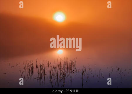 Canada Ontario, silenzioso Lago Parco Provinciale. Sunrise nebbia sul lago silenzioso. Foto Stock