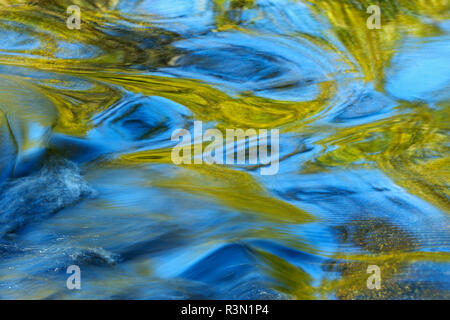 Canada Ontario, impetuoso fiume Parco Provinciale. Acque correnti del fiume Dogtooth. Foto Stock