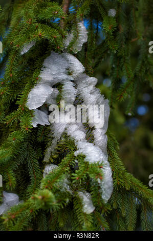 Impressioni inverno nel sauerland Foto Stock