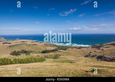 Nuova Zelanda, Isola del Sud, Otago, Penisola di Otago, paesaggio peninsulare Foto Stock