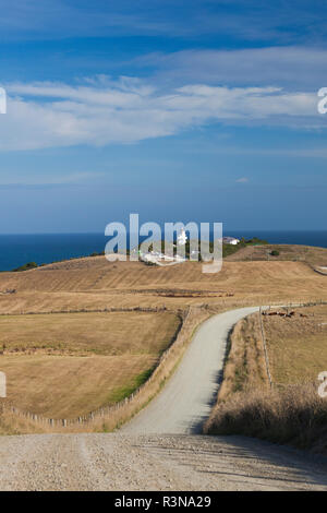 Nuova Zelanda, Isola del Sud, Otago, Moeraki, Katiki Point Lighthouse e country road Foto Stock