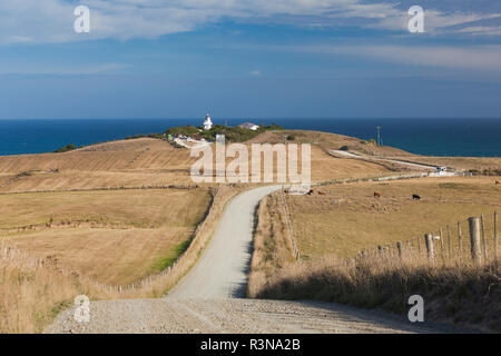 Nuova Zelanda, Isola del Sud, Otago, Moeraki, Katiki Point Lighthouse e country road Foto Stock