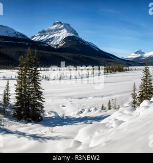 Canada, Alberta, il Parco Nazionale di Banff, Mount Amery, Mount Saskatchewan e il Nord del Fiume Saskatchewan Foto Stock