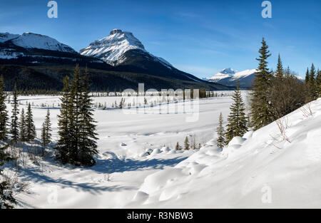 Canada, Alberta, il Parco Nazionale di Banff, vista panoramica del monte Amery, Mount Saskatchewan e il Nord del Fiume Saskatchewan Foto Stock