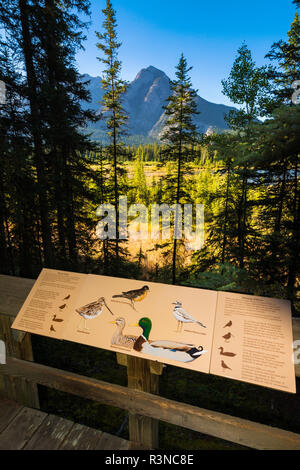 Dichiarazioni interpretative segno alla grotta e Basin National Historic Site, il Parco Nazionale di Banff, Alberta, Canada Foto Stock