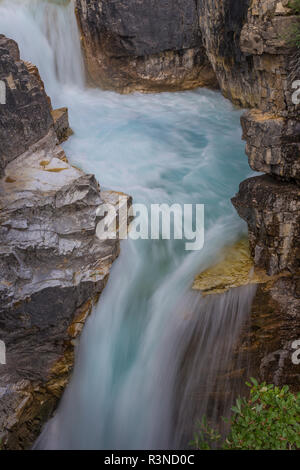 Canada, British Columbia, Kootenay National Park. Tokumm Creek scorre in Marble Canyon. Foto Stock