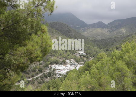 El Acebuchal, nascosta di un villaggio di montagna in Andalusia, Spagna Foto Stock